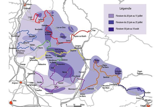 Lavender in Bloom : Unforgettable Provençal Stroll - Starting at Angelvin Distillery