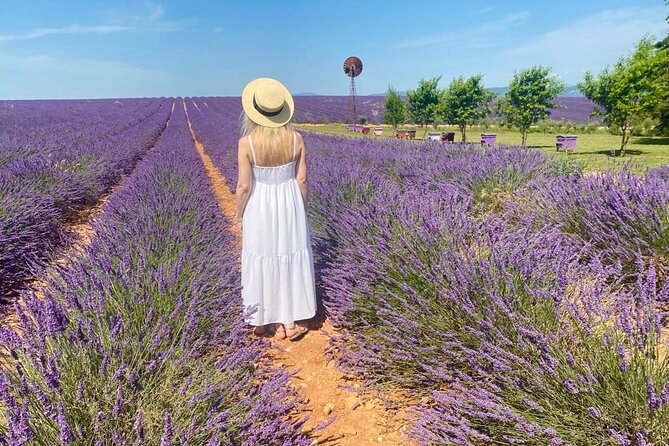 Lavender in Luberon Small Group Half-Day Trip - Gordes is a quick viewpoint, not a village visit