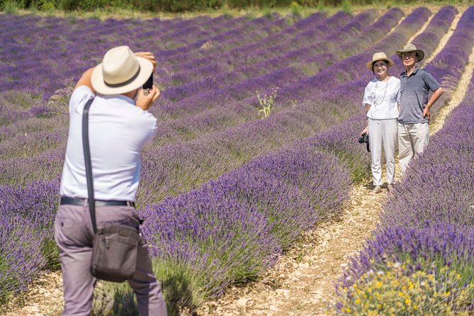 Lavender in Sault Small Group Half-Day Trip - Key points to know before booking