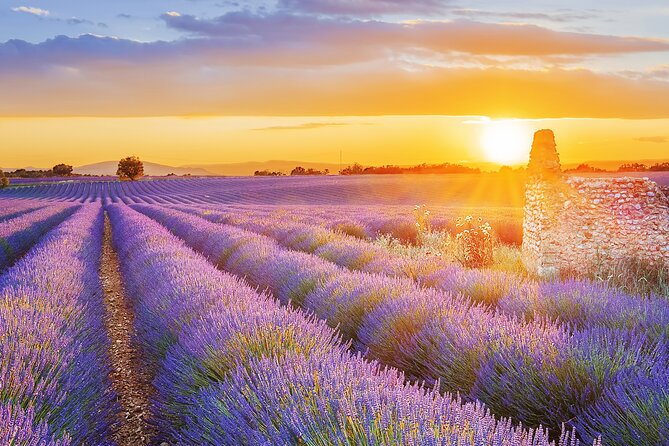 Lavender Route - Small-Group Day Trip from Avignon - Roussillon and the Ochre Trail