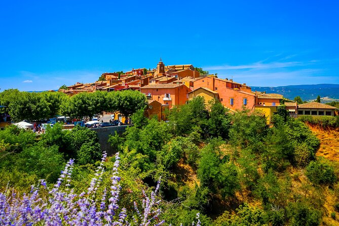 Lavender Route - Small-Group Day Trip from Avignon - Finding the best lavender fields of the day