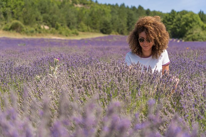 Lavender Small-Group Tour In Valensole from Marseille - Valensole village and the meaning of a short stop