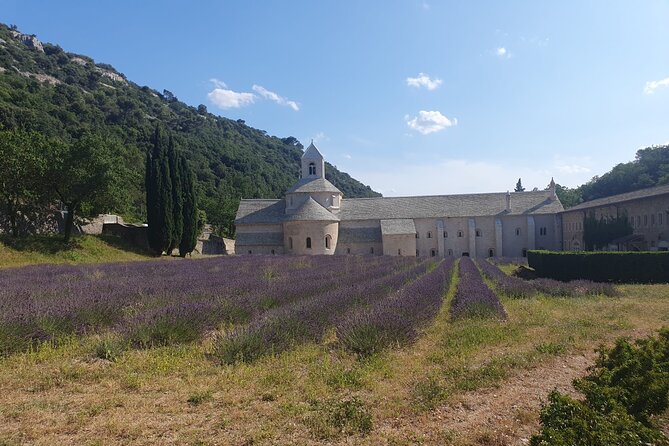 Lavender Tour Sault from Marseille - Practical details that can change your day