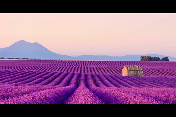 Lavender - Verdon Canyon - Castellane - Moustier - Small Group - Leaving Nice in a comfortable Mercedes van