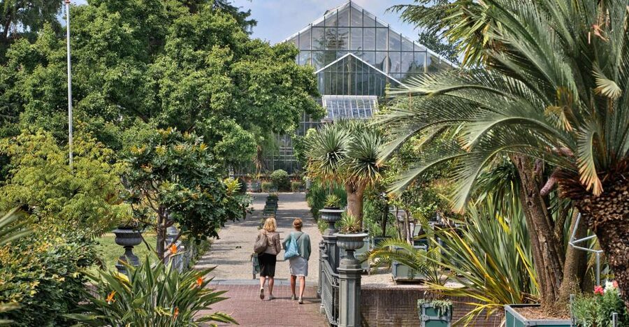 Leiden: Hortus botanicus Leiden Entry Ticket - The Clusius Garden and the story of early plant collecting