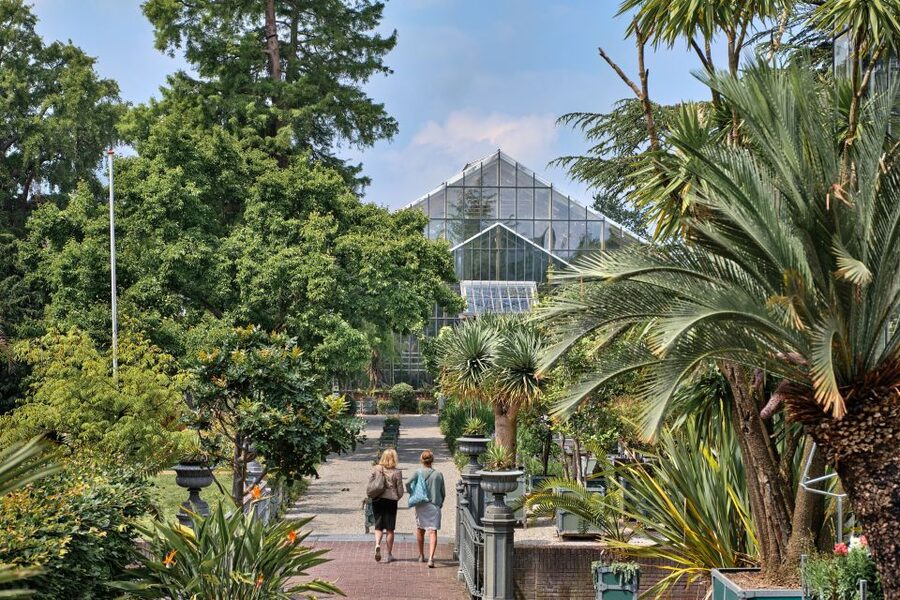 Leiden: Hortus botanicus Leiden Entry Ticket - Carnivorous plants and rare species
