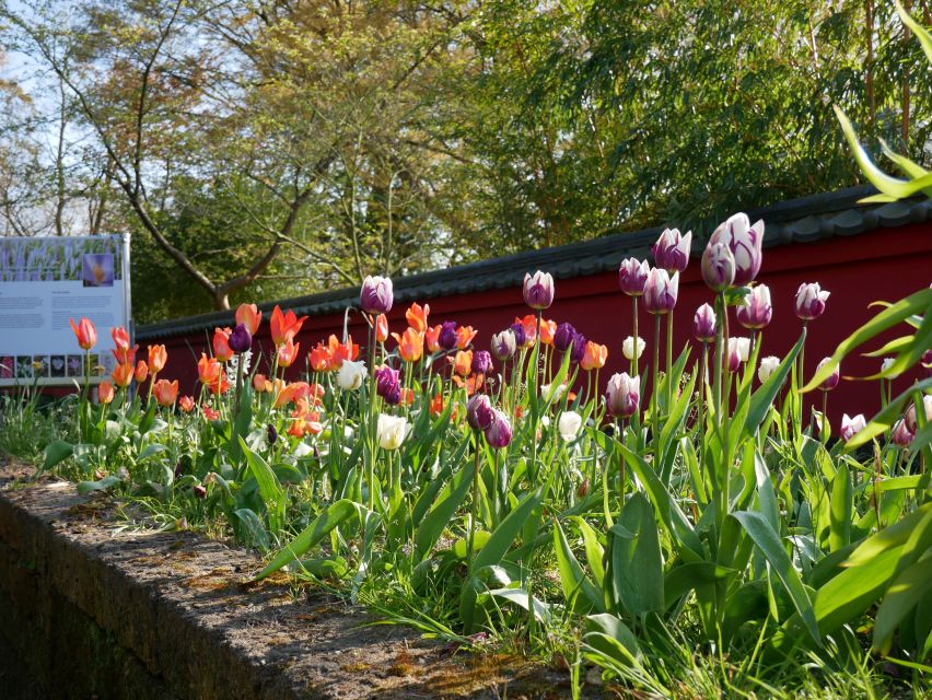 Leiden: Hortus botanicus Leiden Entry Ticket - How much value do you get for $14?