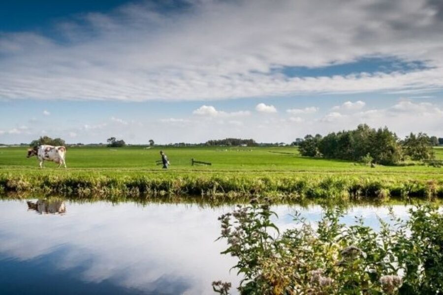 Leiden: Windmill and Countryside Cruise near Keukenhof - Key points at a glance