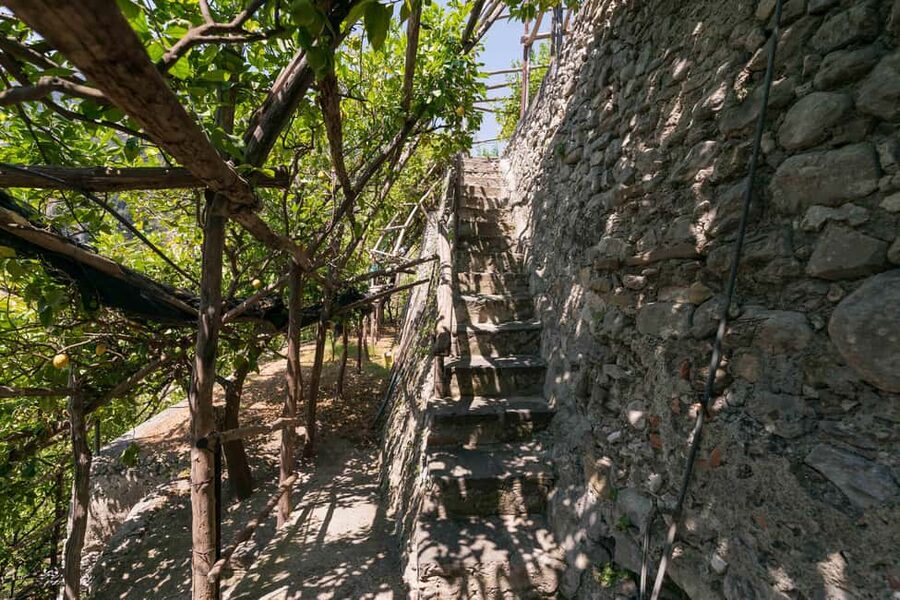 Lemons & Breathtaking Views: Amalfi Monumental Garden Tour - The Elevator or the Stone Steps