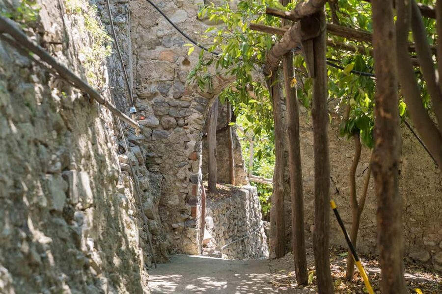 Lemons & Breathtaking Views: Amalfi Monumental Garden Tour - Lemonade, Cake, and Limoncello