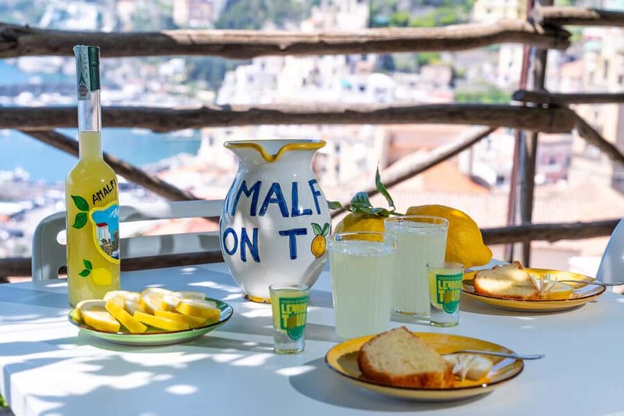 Lemons & Breathtaking Views: Amalfi Monumental Garden Tour - What $41 Buys You