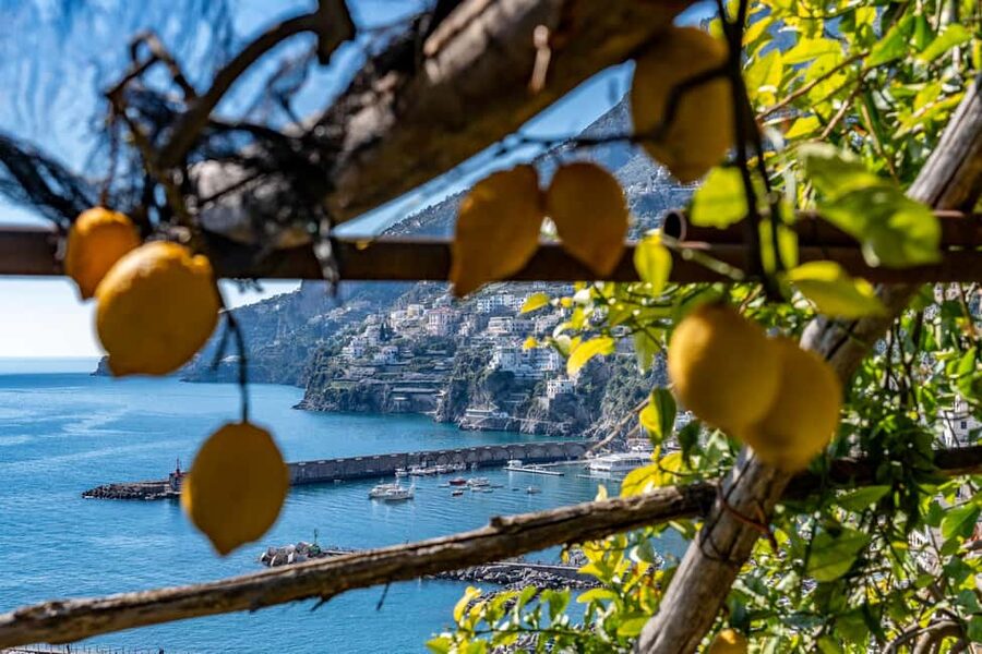 Lemons & Breathtaking Views: Amalfi Monumental Garden Tour - How Long the Visit Really Takes