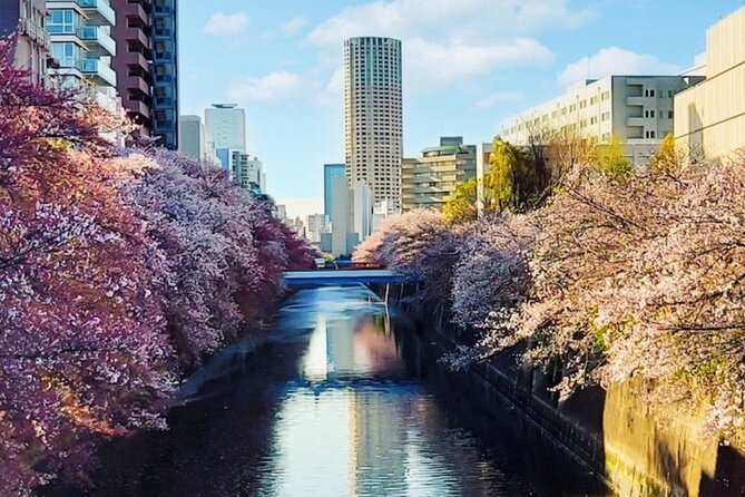 Licensed Guide Tokyo Meguro Cherry Blossom Walking Tour - Key points at a glance