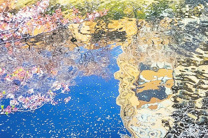 Licensed Guide Tokyo Meguro Cherry Blossom Walking Tour - What the $22.86 price really buys you
