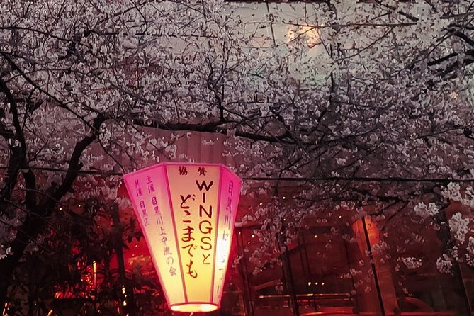 Licensed Guide Tokyo Meguro Cherry Blossom Walking Tour - Weather, crowds, and blossom timing
