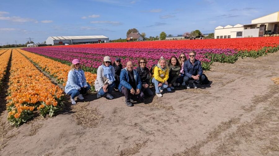 Lisse: Enjoy the Tulip Fields by Bike with a Local Guide! - Key points before you book