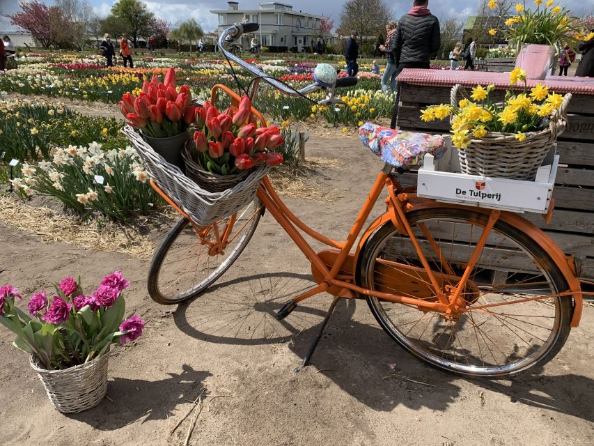 Lisse: Enjoy the Tulip Fields by Bike with a Local Guide! - The best season and time to go