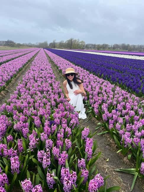 Lisse: Private Tulip Fields Tour with a Local Guide 1h Tour - Why a Private Lisse Tour Can Be Worth the Price
