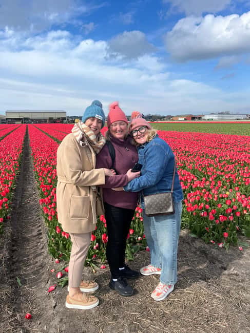 Lisse: Private Tulip Fields Tour with a Local Guide 1h Tour - Who Will Get the Most From This Experience?