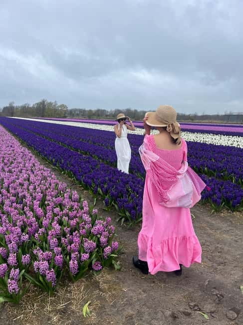 Lisse: Private Tulip Fields Tour with a Local Guide 1h Tour - Booking Details That Affect Your Decision