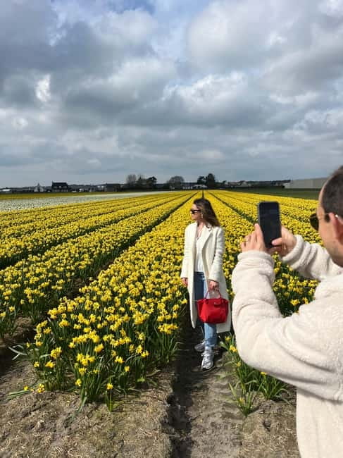 Lisse: Private Tulip Fields Tour with a Local Guide 1h Tour - Should You Book the Lisse Tulip Fields Tour?