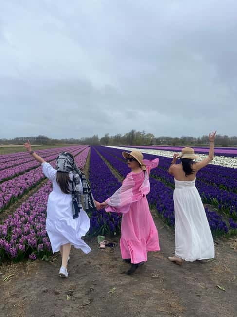 Lisse: Private Tulip Fields Tour with a Local Guide 1h Tour - One Hour Among the Tulip Fields