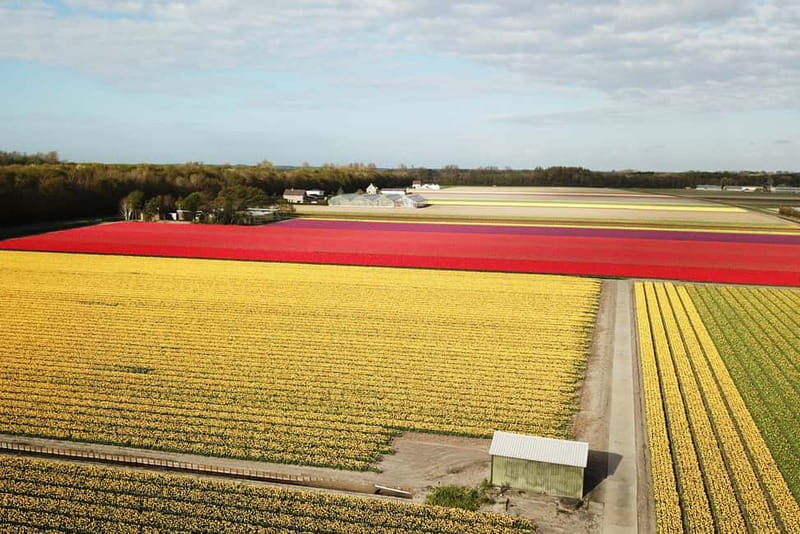 Lisse: Self-Guided Tulip Fields GPS Audio Tour - Following the 20-kilometer GPS route