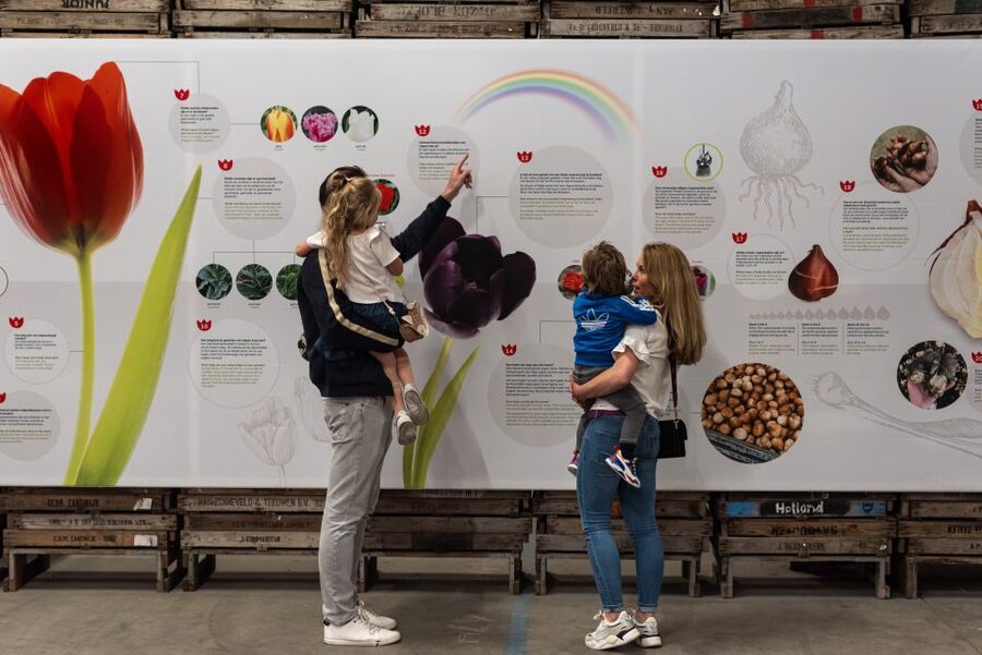Lisse: Tulip Experience Ticket with Tulip Garden and Museum - Why this flower farm feels different from Keukenhof