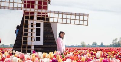 Tulip Experience Ticket with Tulip Garden and Museum