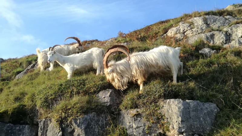 Llandudno: Snowdonia Bodnant Gardens & Castles Private Tour - Pen-y-Pass, one of the day’s best drives