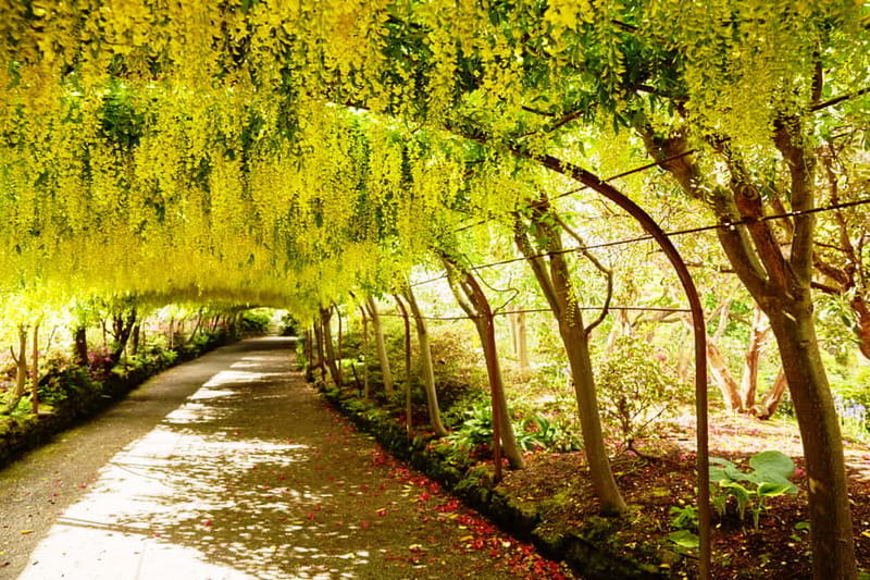 Llandudno: Snowdonia Bodnant Gardens & Castles Private Tour - Llandudno and the Great Orme in 40 minutes