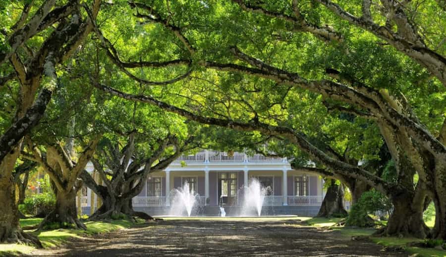 local Market,Botanical garden,Rum tasting & authentic Lunch - Key points at a glance