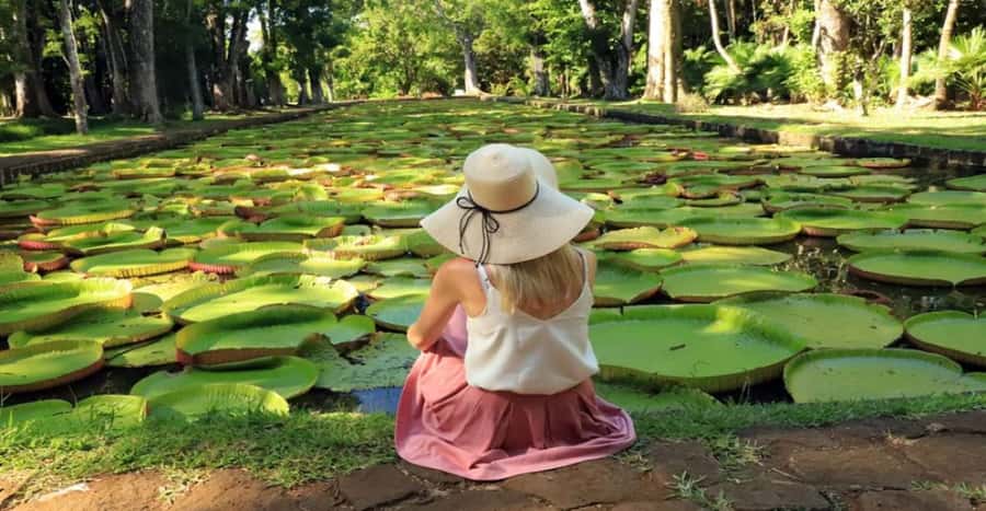 local Market,Botanical garden,Rum tasting & authentic Lunch - Why this northern Mauritius day works