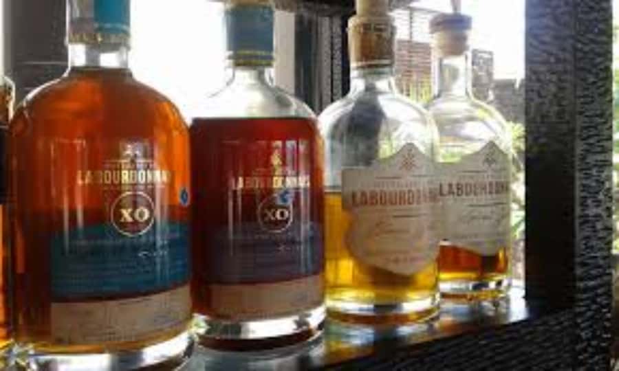 local Market,Botanical garden,Rum tasting & authentic Lunch - Caudan Waterfront and Fort Adelaide