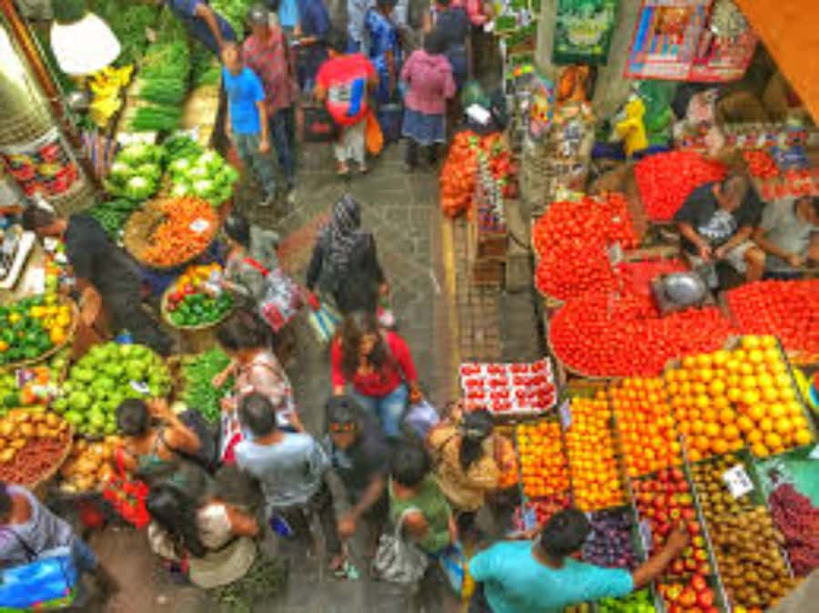 local Market,Botanical garden,Rum tasting & authentic Lunch - The local lunch stop
