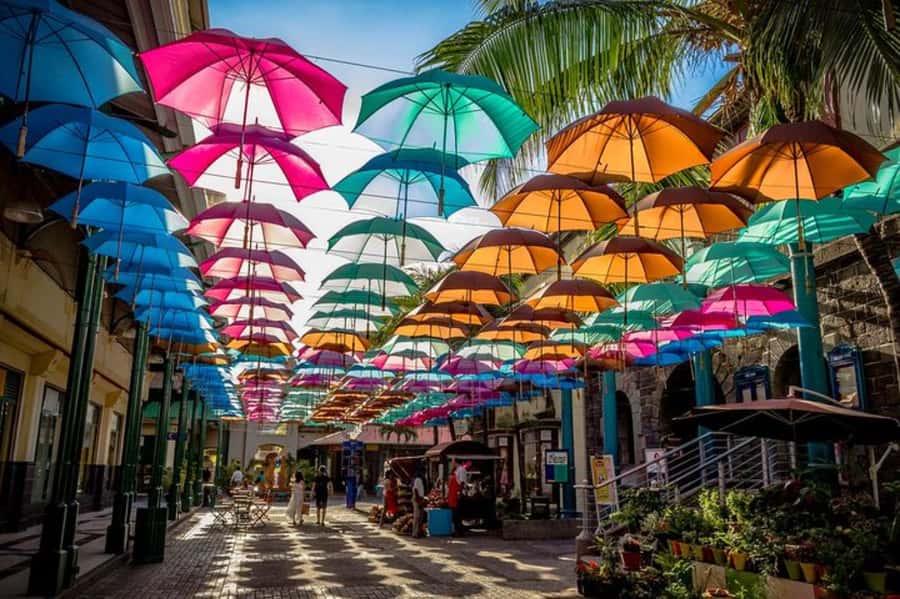 local Market,Botanical garden,Rum tasting & authentic Lunch - What the private format adds