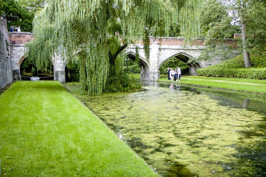 London: Entry Ticket to Eltham Palace and Gardens - The medieval great hall and minstrels’ gallery