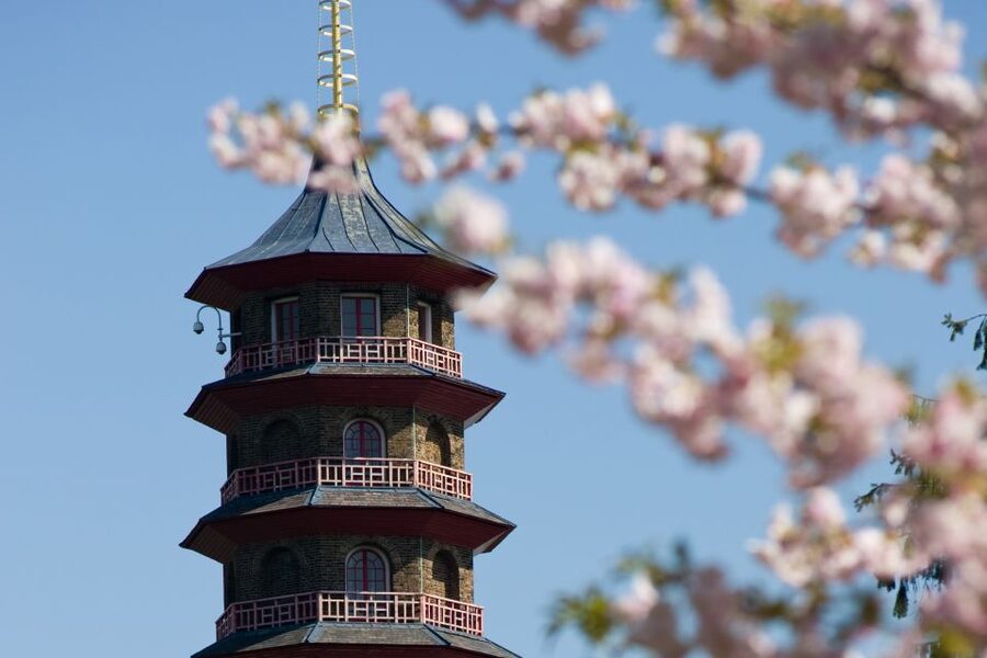 London: Kew Gardens Admission Ticket - Key points to know before visiting Kew Gardens