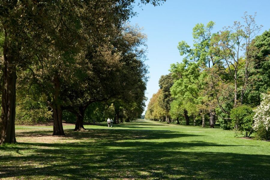 London: Kew Gardens Admission Ticket - The Arboretum and Kew’s outdoor gardens