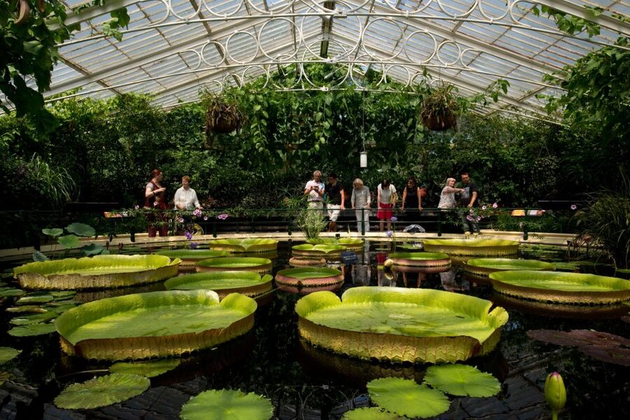London: Kew Gardens Admission Ticket - Eating, resting, and the extra train