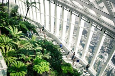 Sky Garden Early Access with Pastry and Hot Drink