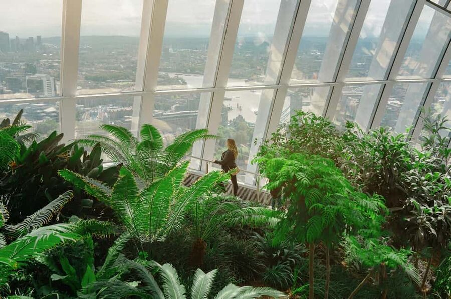 London: Sky Garden Early Access with Pastry and Hot Drink - Using the audio guide after Sky Garden