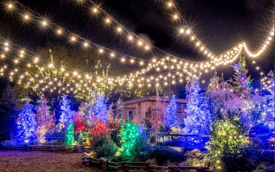 Longwood Gardens Holiday Lights Tour from Philadelphia - From Arch Street to the Brandywine Valley