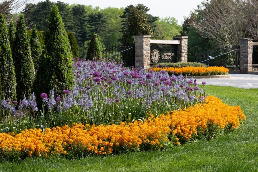 Longwood Gardens Holiday Lights Tour from Philadelphia - Accessibility and comfort on the paths