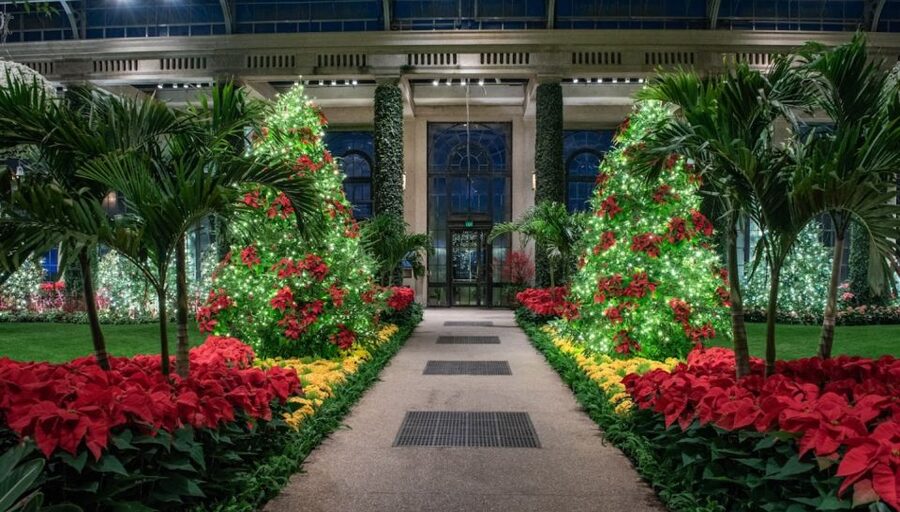 Longwood Gardens Holiday Lights Tour from Philadelphia - Who should book this Philadelphia holiday outing?