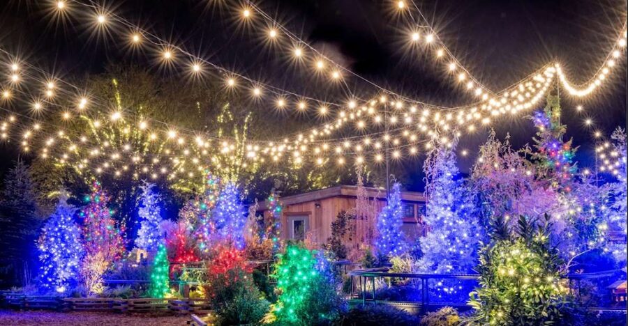 Longwood Gardens Holiday Lights Tour from Philadelphia - Entering Longwood Gardens after dark