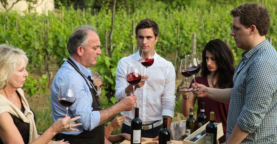 Lunch in the garden and Wine Tasting - Five things to know before you book