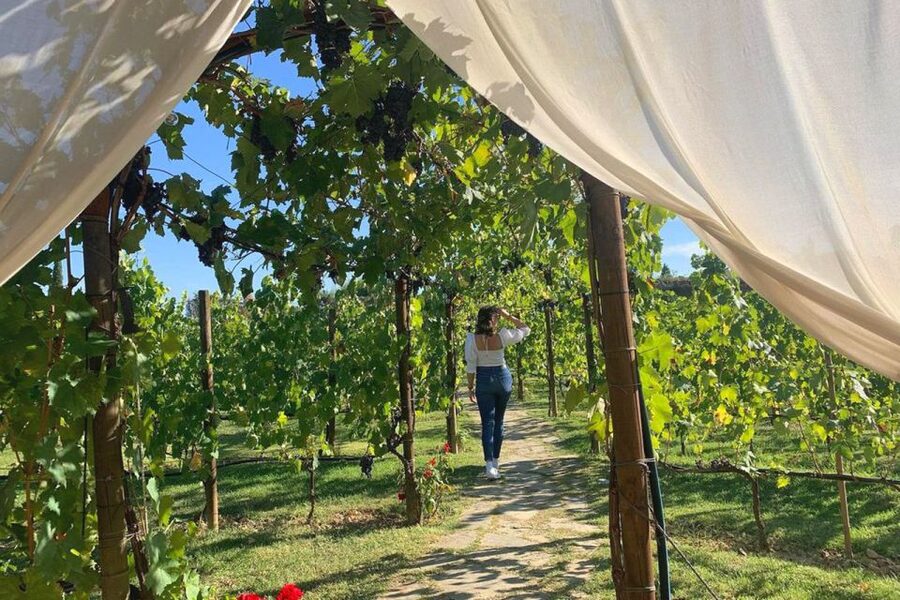 Lunch in the garden and Wine Tasting - The romantic appeal of the garden