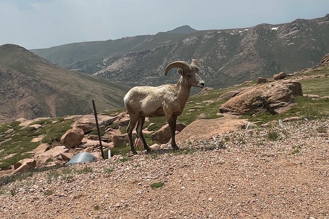 Luxury Private Van to Pikes Peak Garden of Gods - Lunch in Colorado Springs after the park