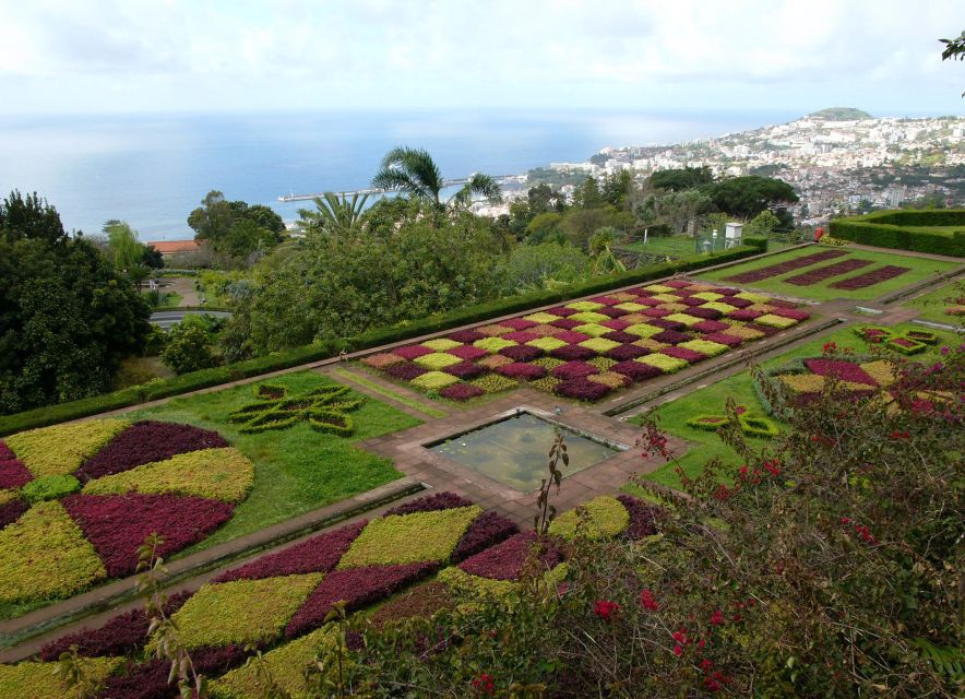 Madeira: Botanical Garden in a Tuk-Tuk Tour - Key Points Before You Book